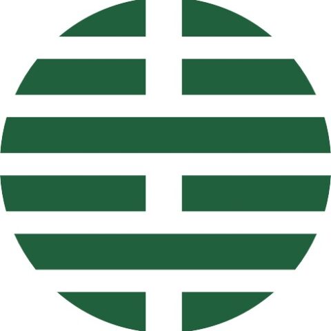 Dr. Ahmed El Menuawy